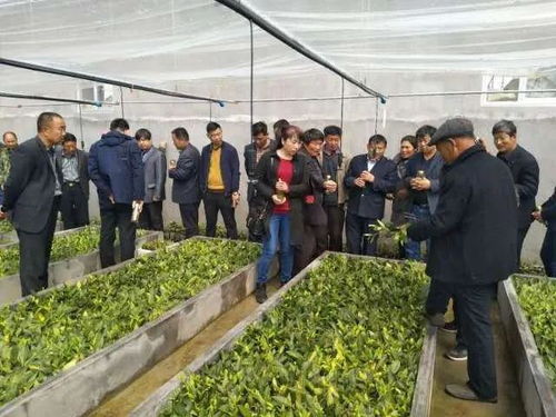 日照 揭榜制 評(píng)選建立8家市級(jí)農(nóng)業(yè)科技創(chuàng)新中心