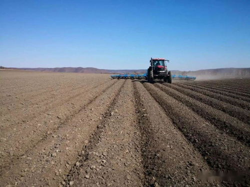 好一片希望的田野〡北大荒現代農業插上科技翅膀