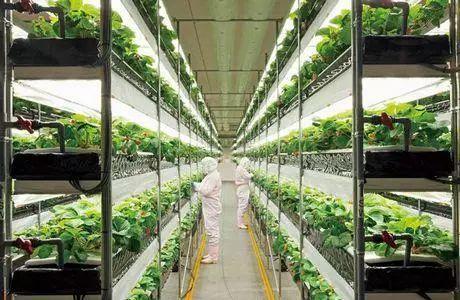 小小靚科技2017十大農(nóng)業(yè)科技盤點(diǎn)