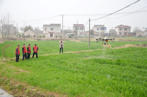 省農(nóng)機(jī)推廣站來我市開展省 市 縣農(nóng)機(jī)科技志愿服務(wù)大聯(lián)動