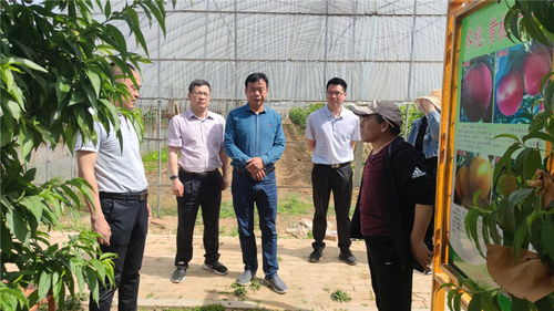 平頂山市科技局實(shí)地考察市級星創(chuàng)天地建設(shè)情況