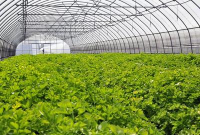 服務(wù)業(yè)哪些比較有前景:盤點(diǎn)最具潛力的十大服務(wù)行業(yè)