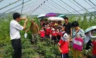 打造一座盈利的農(nóng)莊,選址要點(diǎn)可以從這幾方面來考慮