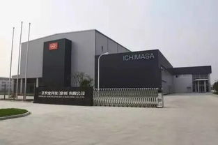 驚 常州培育出日本 宮廷國寶 ,人稱 抗癌奇葩 居然比靈芝還要珍貴