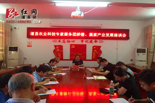 道縣召開農(nóng)業(yè)科技專家服務(wù)團臍橙 蔬菜產(chǎn)業(yè)發(fā)展座談會