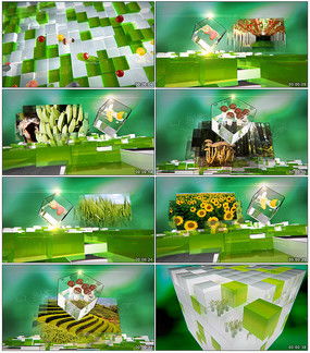 服務(wù)產(chǎn)品圖片 服務(wù)產(chǎn)品設(shè)計素材 紅動中國