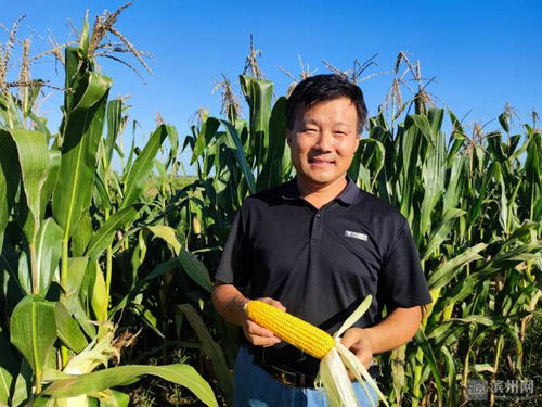 濱州國家農(nóng)業(yè)科技園區(qū)玉米新品種選育項(xiàng)目榮獲市科技進(jìn)步獎一等獎