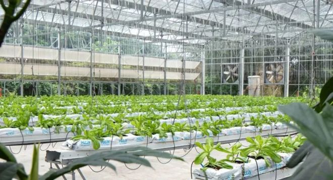 鄉(xiāng)村振興 | 三產(chǎn)融合下,農(nóng)業(yè)不能只做鄉(xiāng)村文旅的背景色