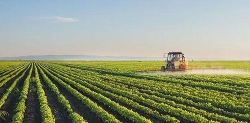 土特產(chǎn)4大商業(yè)模式 賣(mài)產(chǎn)品 賣(mài)服務(wù) 賣(mài)產(chǎn)業(yè)鏈