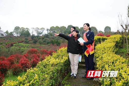 湖南衡陽(yáng) 稅收助力 繪就鄉(xiāng)村振興美麗畫(huà)卷