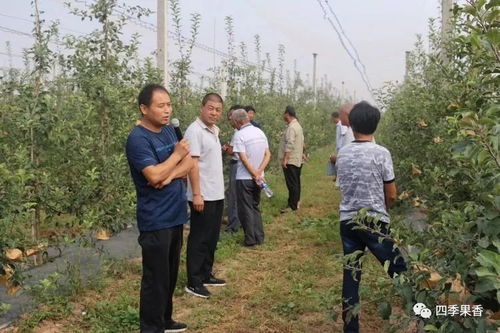 白水縣四季香農(nóng)業(yè)科技服務(wù)公司肥水一體化推廣及中農(nóng)液體肥示范園觀(guān)摩活動(dòng)圓滿(mǎn)成功