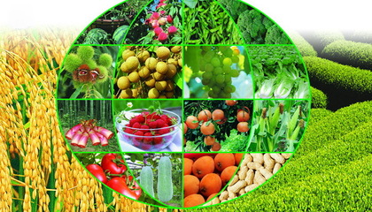 中國智慧農業網:如何實實在在做農村電商