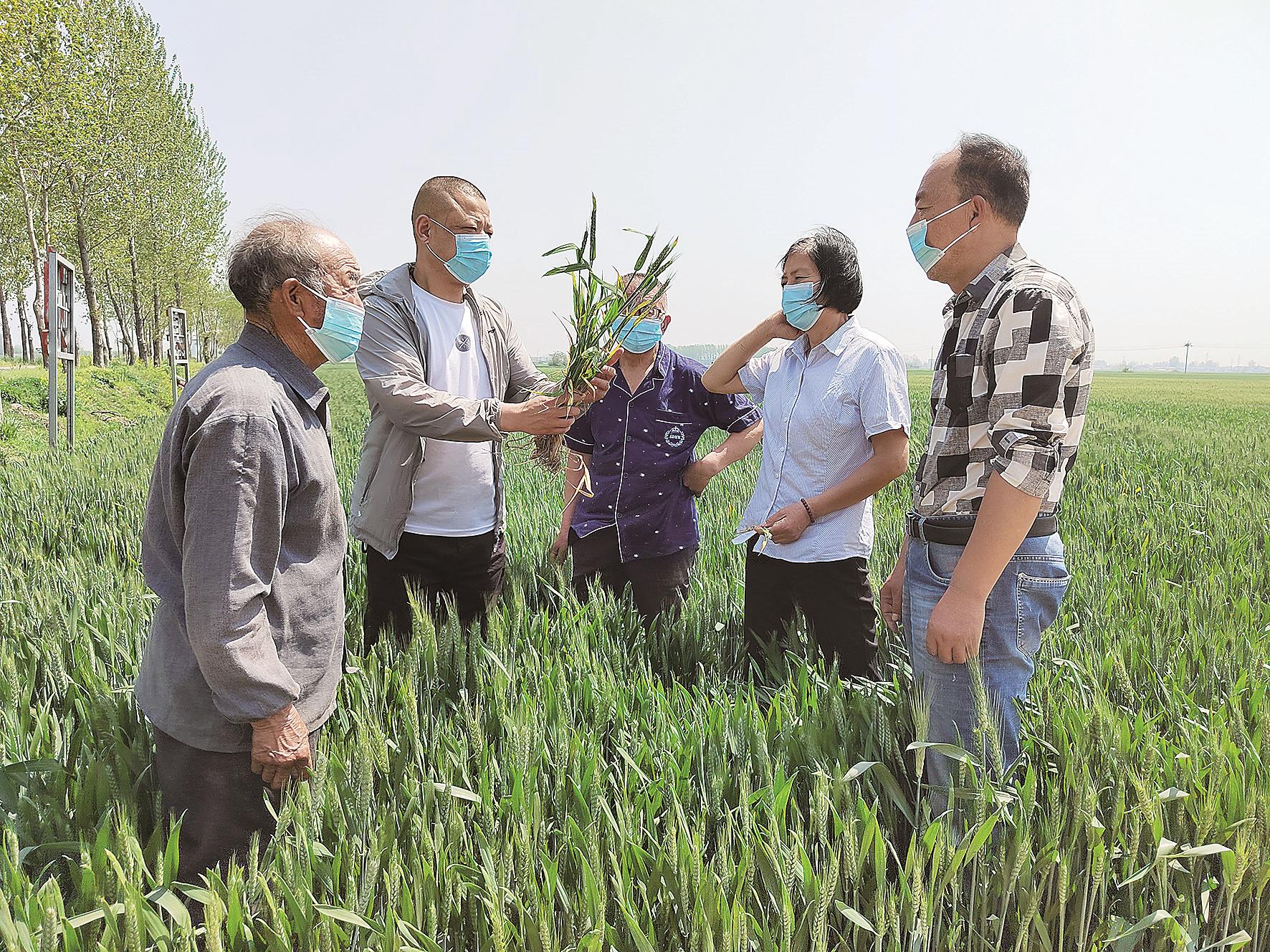 惠農(nóng)科技 助農(nóng)增收