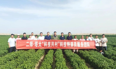 【本地動態】塔里木大學科技特派員團隊來和碩縣開展科技服務