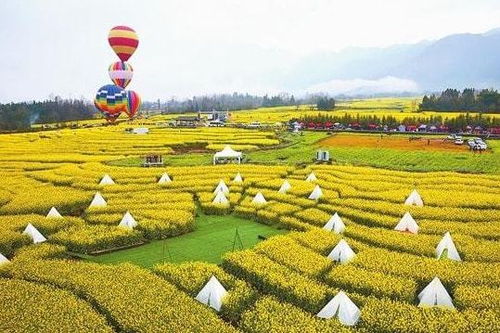 政策 國家發(fā)力農(nóng)業(yè)服務(wù)創(chuàng)新 溫氏 樓房養(yǎng)豬仍處于試驗階段