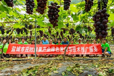 科技服務(wù)中心開(kāi)展暑期田間課堂科普教育活動(dòng)