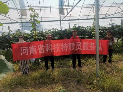 河南省科技特派員王尚堃赴鄲城縣開(kāi)展&lsquo;陽(yáng)光玫瑰&rsquo;葡萄栽培管理技術(shù)服務(wù)指導(dǎo)