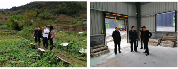 農(nóng)生學(xué)院組織&ldquo;專(zhuān)家團(tuán)隊(duì)&rdquo;深入企業(yè)開(kāi)展科技服務(wù)