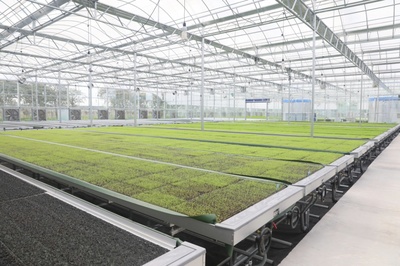 ?金山這個智聯(lián)植物工廠科技范十足!