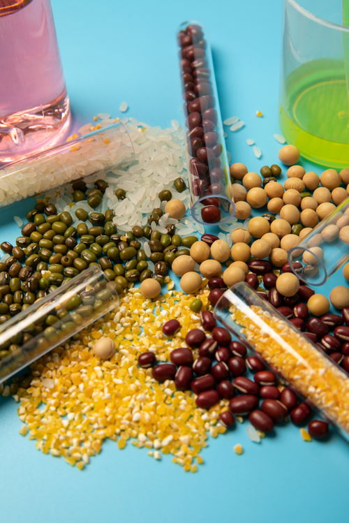 五谷食品安全農(nóng)業(yè)科技食品培育攝影圖 插畫 下載至來源處