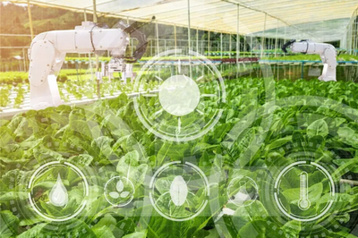 農(nóng)業(yè)科技社會化服務體系建設如何加強?七部門發(fā)文部署