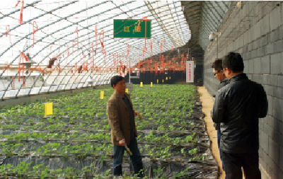 楊凌:中國(guó)農(nóng)業(yè)標(biāo)準(zhǔn)化的樣板