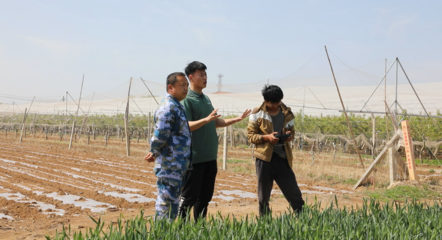 青島麗斌農(nóng)業(yè)綜合農(nóng)事服務中心 打通為農(nóng)服務&ldquo;最后一公里&rdquo;