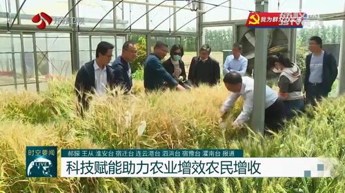 問題不出田 江蘇積極開展農(nóng)業(yè)科技服務活動