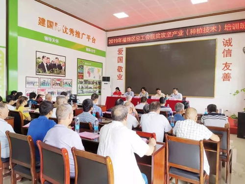 2019年中農富玉大事記 不忘初心,牢記使命,再創輝煌