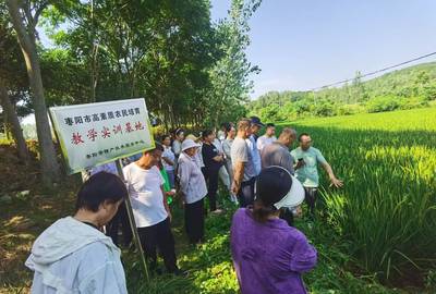 棗陽(yáng)市劉升鎮(zhèn):水稻綠色高產(chǎn)高效技術(shù)培訓(xùn)班開班