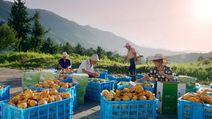 小院動(dòng)態(tài)